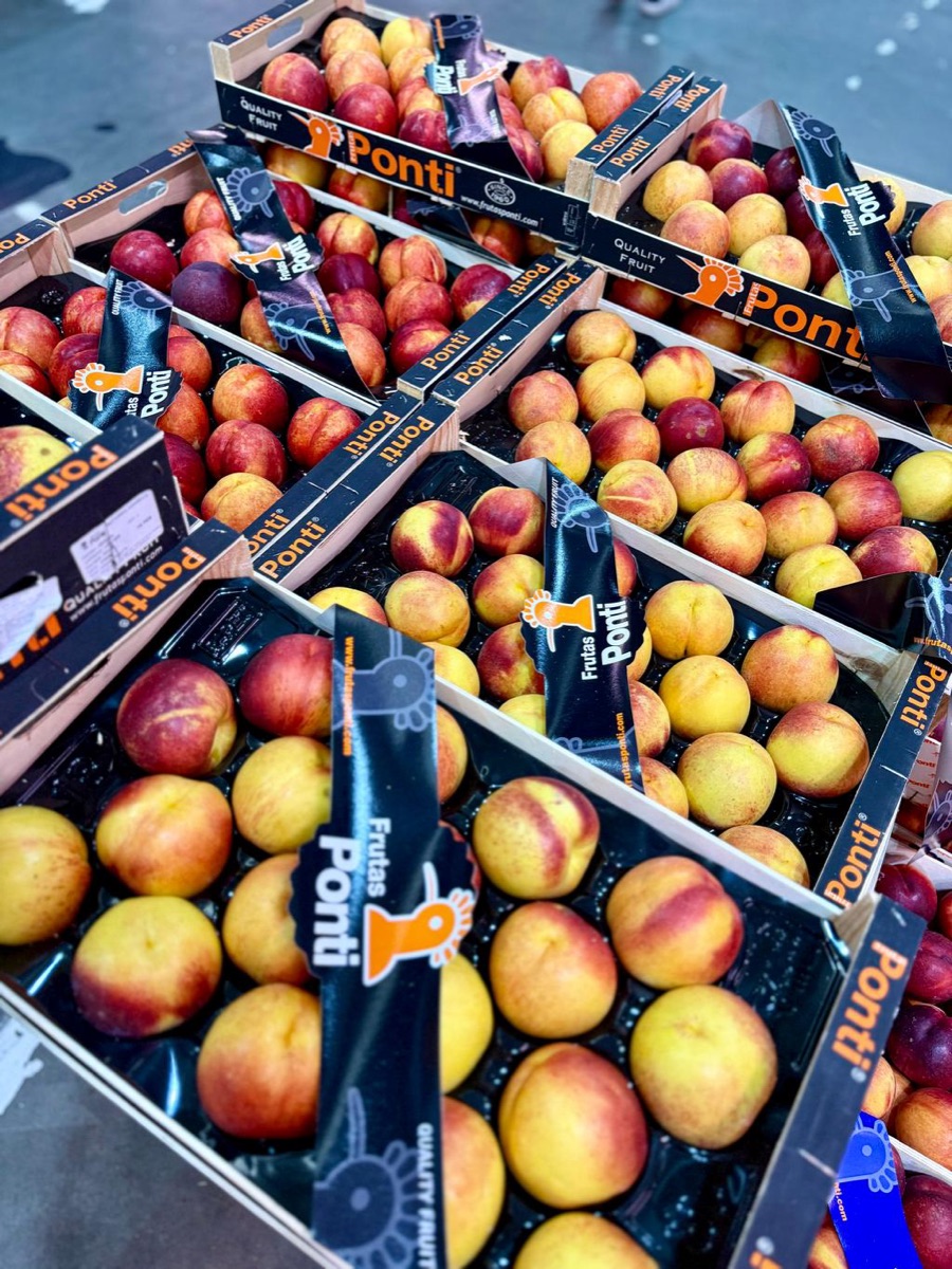 Ящики з нектаринами Frutas Ponti